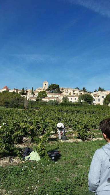 Vinsobres Le Temps Des Cerises.ヴィラ エクステリア 写真